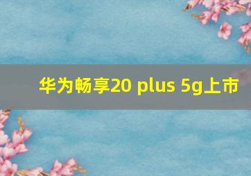 华为畅享20 plus 5g上市